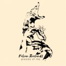 Fabian Roelandt - La falda de leopardo de Vane (Original Mix)