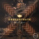 S O U N D I S I Λ C - Concentrate #02 ()