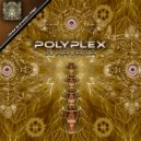 Polyplex - Bull - Frog (Original Mix)