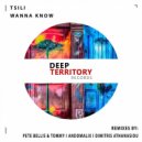 Tsili - Wanna Know (Pete Bellis & Tommy Remix)