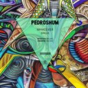 PedroShum - Operator (Original Mix)