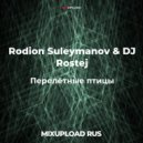 Rodion Suleymanov & DJ Rostej - Перелётные птицы