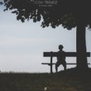 Josh Trendz - Nothing Here (Original Mix)