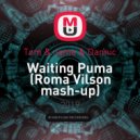 Tom & Jame & Dannic - Waiting Puma (Roma Vilson mash-up)