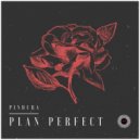Pindura - Plan Perfect