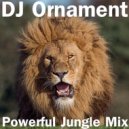 DJ Ornament - Powerful Jungle Mix