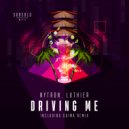 Nytron & Luthier - Driving Me