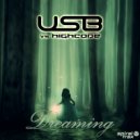 U.S.B. & High Code - Dreaming (feat. High Code)