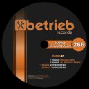 Marko Schwarzmann - Panda (Ntemos Remix)