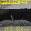 Calvin Harris & Rag’n’Bone Man - Giant (Amice Remix)