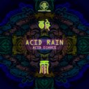 Acid Echoes - Acid Rain
