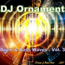 DJ Ornament - Drum & Bass Waves. Vol. 3 ()