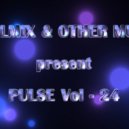 COOLMIX - Other Music Pulse Vol - 24
