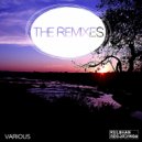 RMB & Stefania Stefani - Fall For You (feat. Stefania Stefani) (Vaughan Phillips Remix)