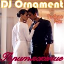DJ Ornament - Притяжение ()