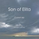 Son of Elita - Amina (Original mix)