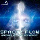 Spacey Flow - Subliminal Message