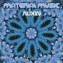Material Music - Intercalactic Space
