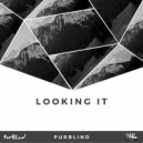 PurBlind - Looking It