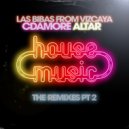 Las Bibas From Vizcaya & Cdamore & Altar - House Music (Costta Remix)