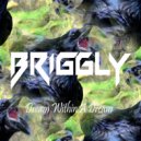 Briggly - Dream Within A Dream