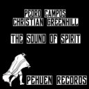 Pedro Campos & Christian Greenhill - Disco_ Nect (Original Mix)