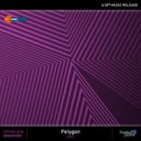 DP7 - Polygon