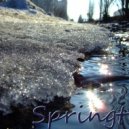 Ter_Min - Springtime
