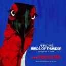 Jerome - Birds Of Thunder (Original X Mix)