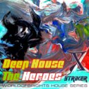 Nick Wowk - Deep House The Heroes Vol. X STRIKER VDJ SET