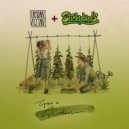 Formidable Vegetable - Grow a Garden