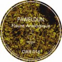 PAWELDUN - Fleure Analogique