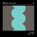 RareBit - Barry City (Original Mix)