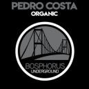 Pedro Costa - Bugs