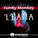 Funky Monkey (SP) - Turn The Bass (Original Mix)