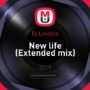 Dj Levidze - New life