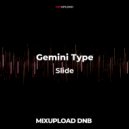 Gemini Type - Slide