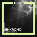 Sinkrono - No Soul (Original Mix)