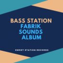 Bass Station - Shake This (Original Mix)