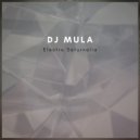 Dj Mula - Electro Saturnalia (Original Mix)