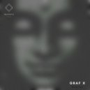 Graf x - Reveal The Unrevealed (Original Mix)