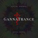 Social Animal - Ali Trance