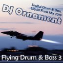 DJ Ornament - Flying Drum & Bass 3 ()