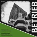 Mushroomer - Drunk Conductor (Original Mix)