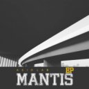 Acid_Lab - Mantis (Original Mix)