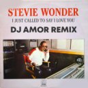 Stevie Wonder - I Just Called To Say I Love You (DJ Amor Remix)