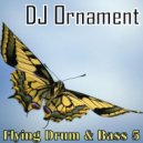 DJ Ornament - Flying Drum & Bass 5
