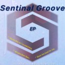 Sentinel Groove - Rock the beat for me.