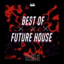 Jayme Jay - Suga Bush (Derek Armstrong Remix)
