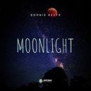 Boogie Beatz - Moonlight